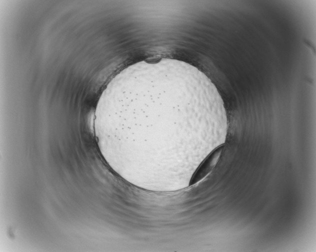 X0000103490047200810101033
