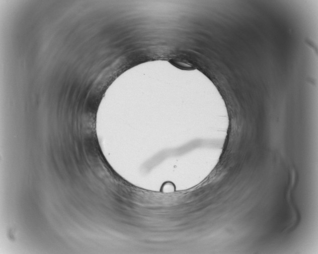 X0000103490048200810101033