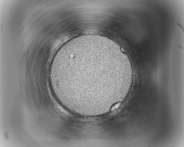X0000103490049200810101032