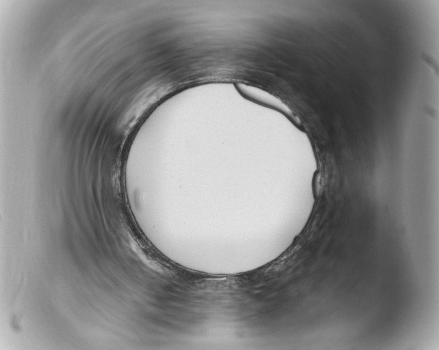 X0000103490050200810101032