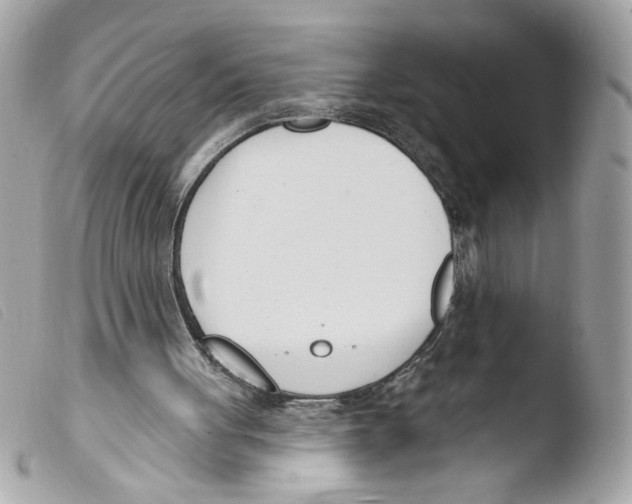 X0000103490051200810101032