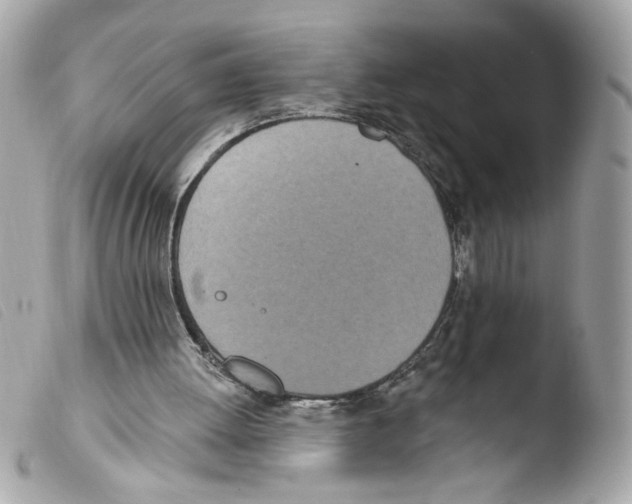 X0000103490052200810101032