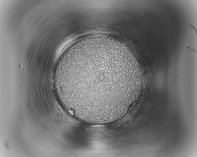 X0000103490053200810101032