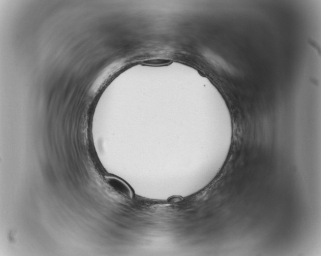 X0000103490054200810101033