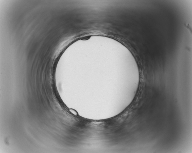 X0000103490055200810101033