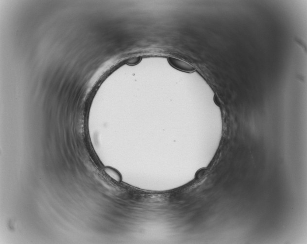 X0000103490056200810101033