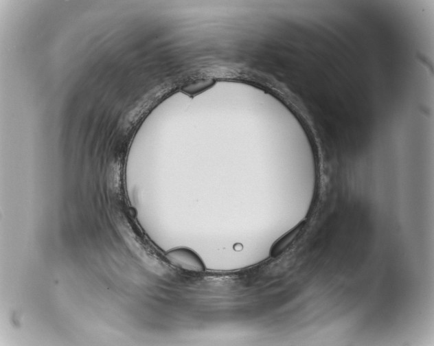 X0000103490057200810101033