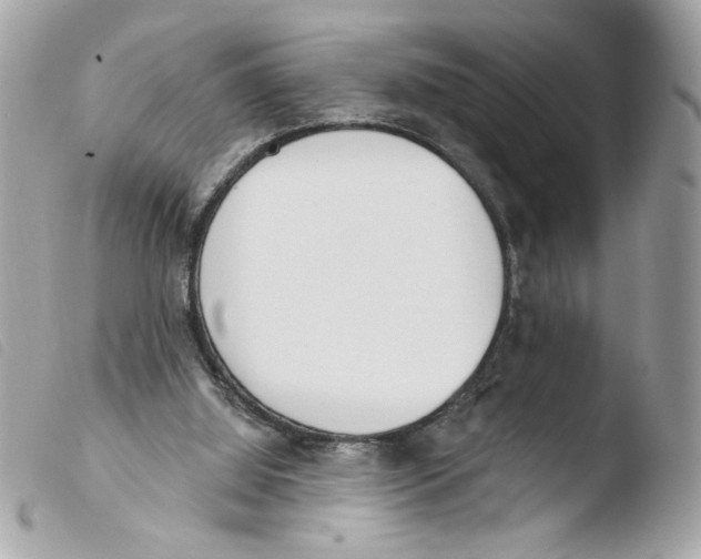 X0000103490060200810101033