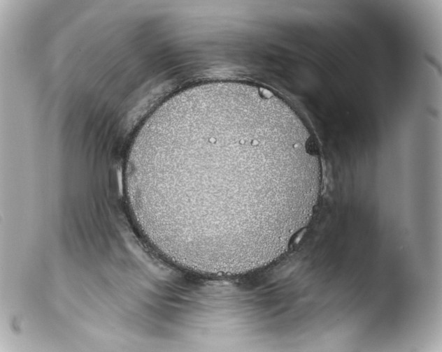 X0000103490061200810101033