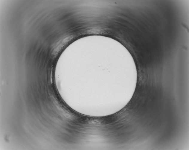 X0000103490062200810101033
