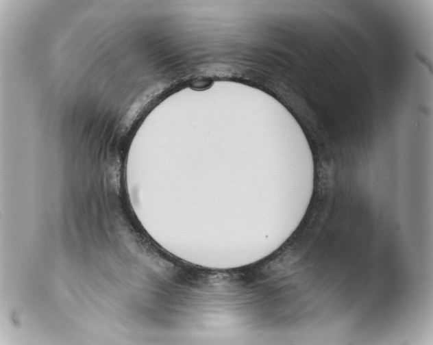X0000103490064200810101033