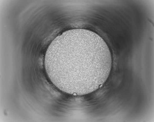 X0000103490065200810101033