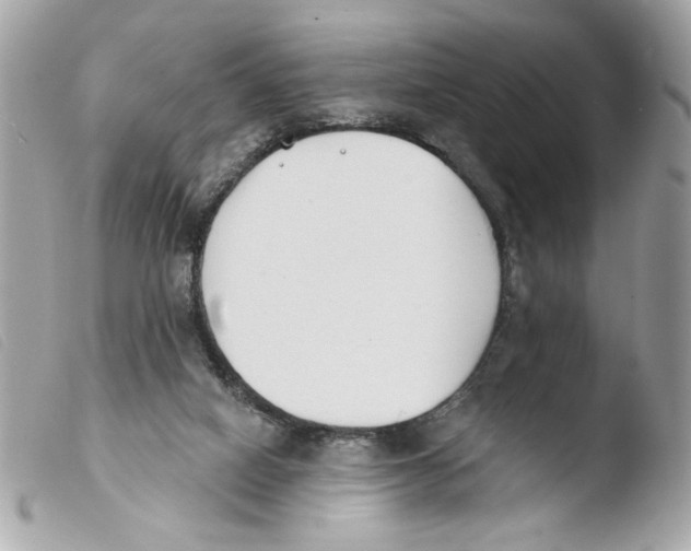 X0000103490066200810101033