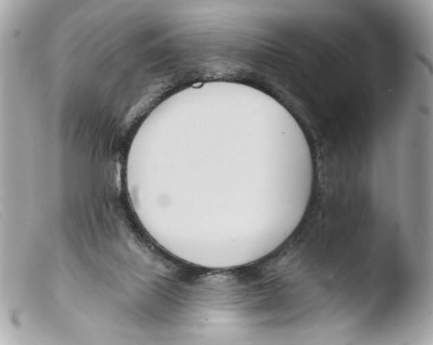 X0000103490067200810101033