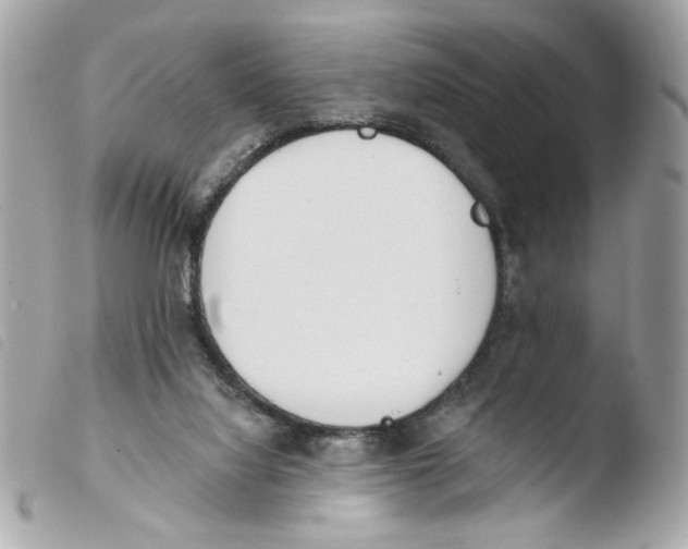 X0000103490068200810101033