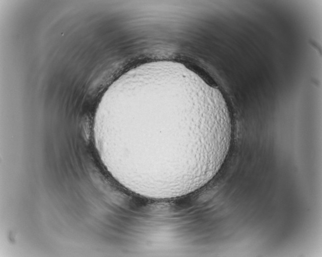 X0000103490069200810101033