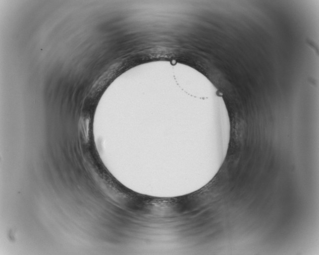 X0000103490070200810101033