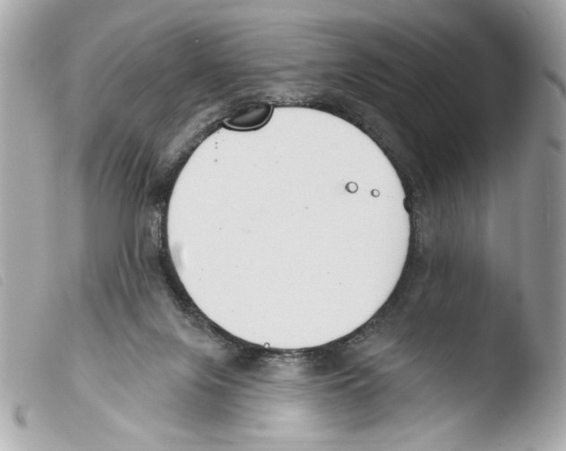 X0000103490071200810101033
