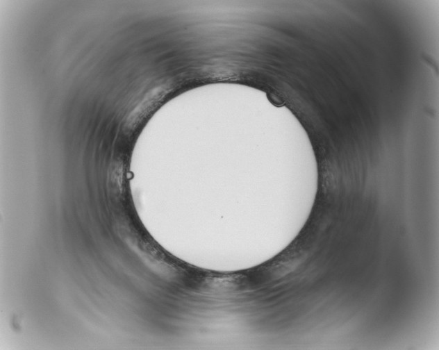 X0000103490072200810101033