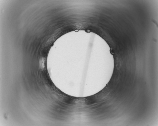 X0000103490075200810101033