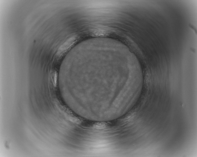 X0000103490076200810101033