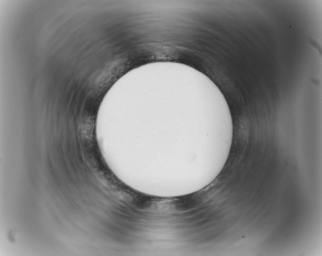 X0000103490078200810101033