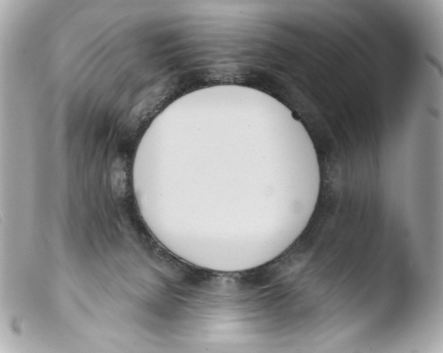 X0000103490080200810101033