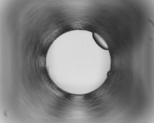 X0000103490081200810101033