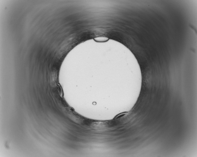 X0000103490082200810101033