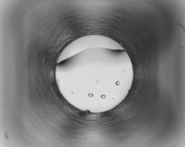 X0000103490084200810101033