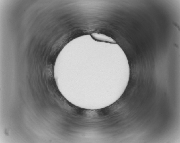 X0000103490085200810101033