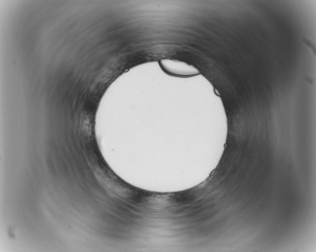 X0000103490086200810101033