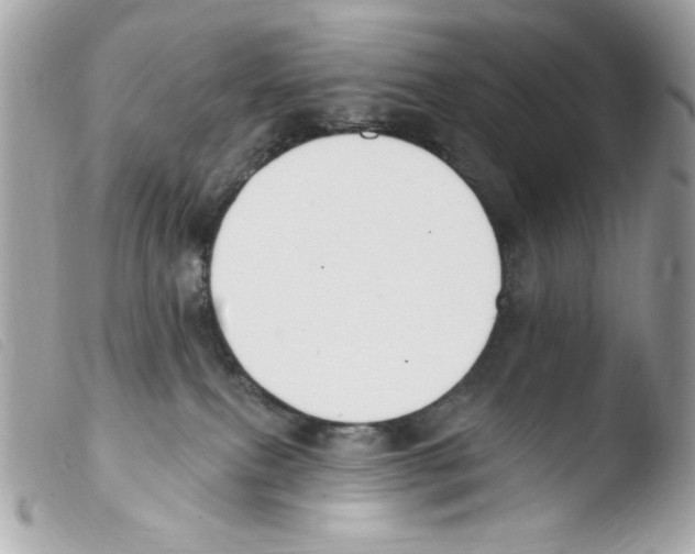 X0000103490087200810101033