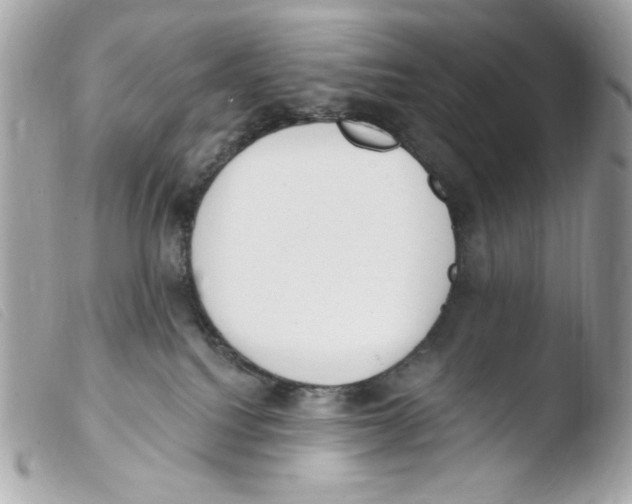 X0000103490088200810101033