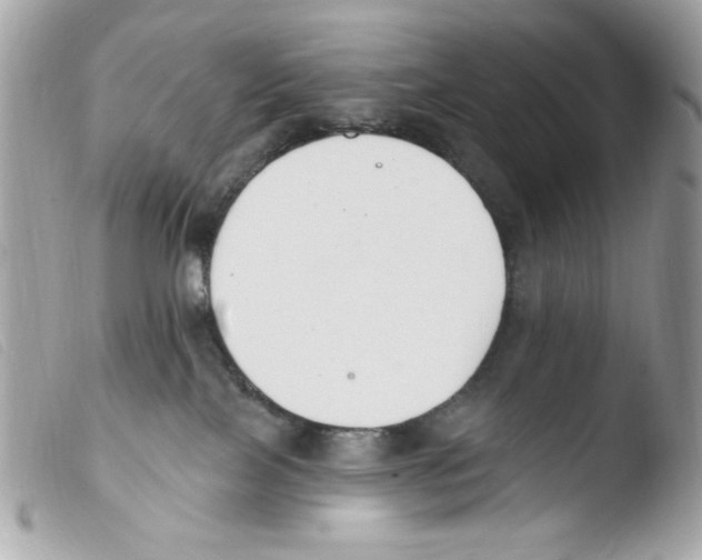 X0000103490089200810101033