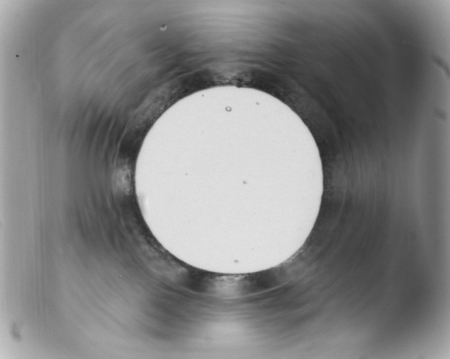 X0000103490090200810101033