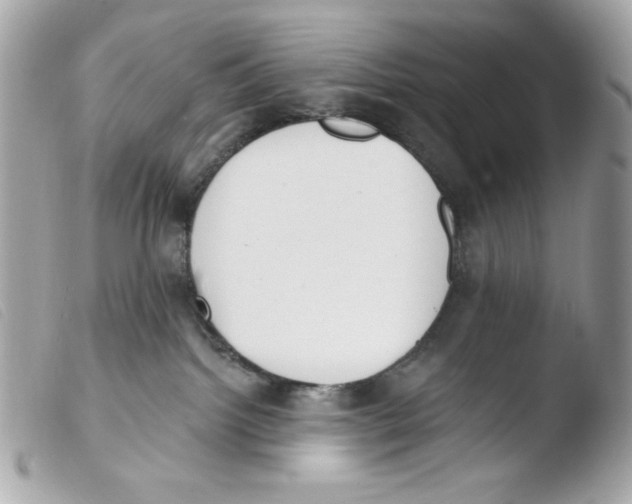 X0000103490092200810101033