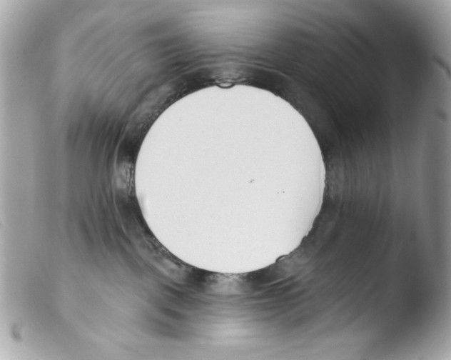 X0000103490093200810101033