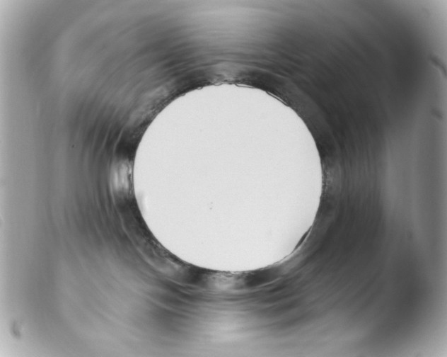 X0000103490094200810101033