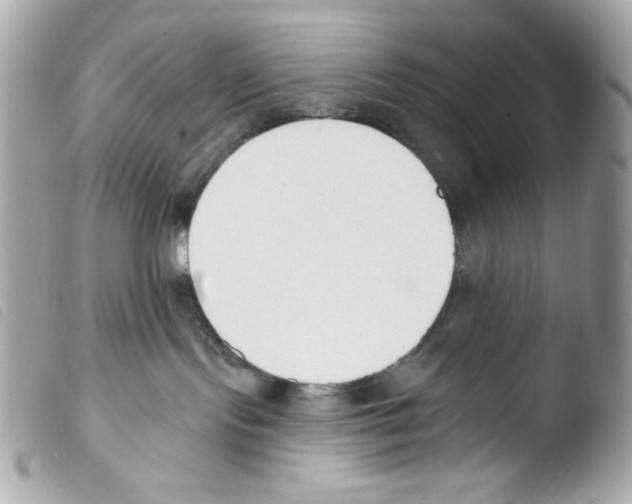 X0000103490095200810101033