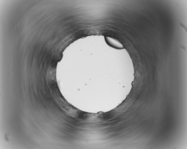 X0000103490096200810101033