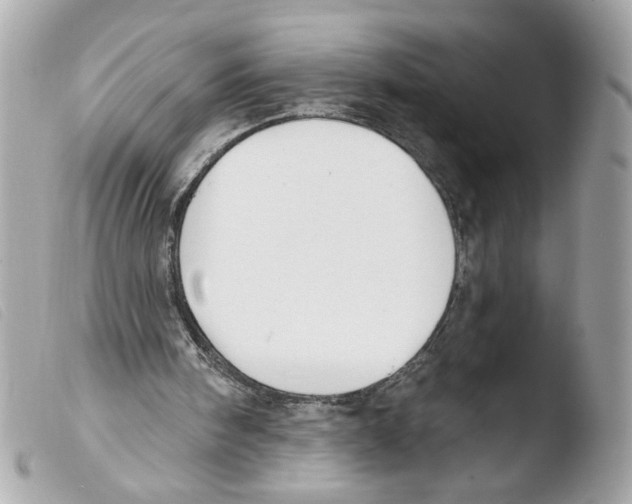 X0000103490098200810101032
