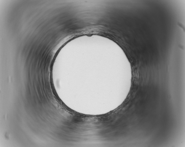 X0000103490100200810101032
