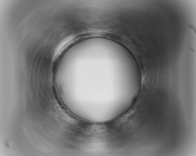X0000103490101200810101032