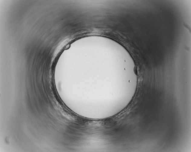 X0000103490102200810101032