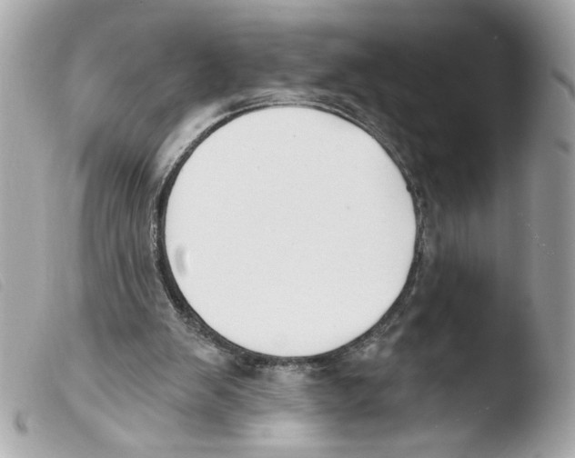X0000103490103200810101032
