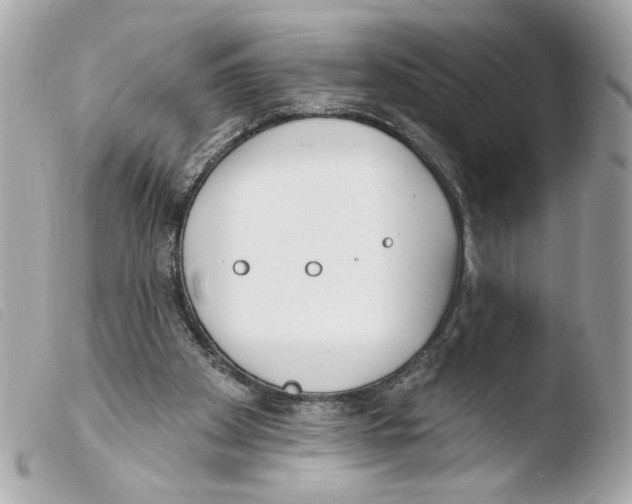 X0000103490105200810101032