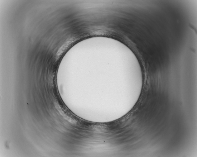 X0000103490106200810101032