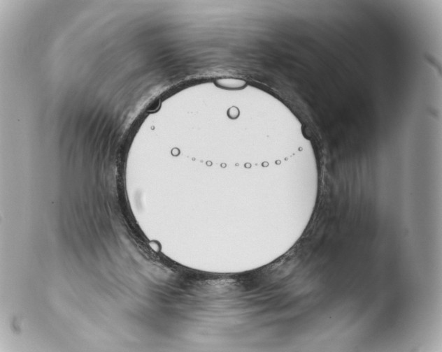 X0000103490108200810101032
