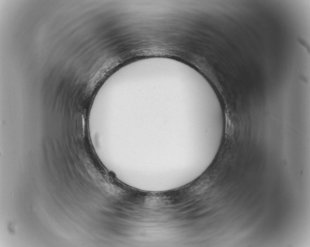 X0000103490109200810101032